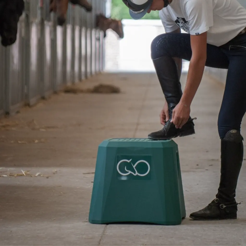 horse-infinity-montoir-equestre-blok (40).webp